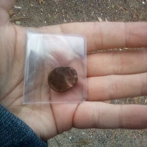 RARE Off-Center Penny (No Date)